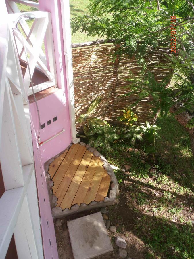 הוילה Choiseul The Pink House מראה חיצוני תמונה